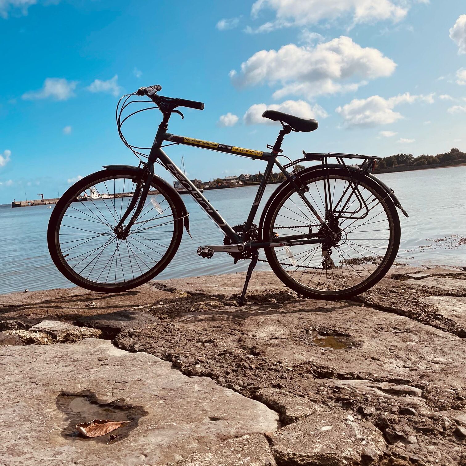 bike hire bike hire